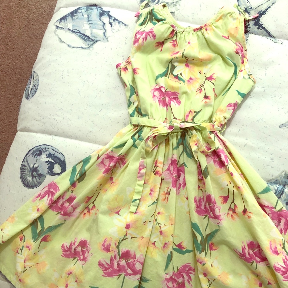 Lands End Spring Dress